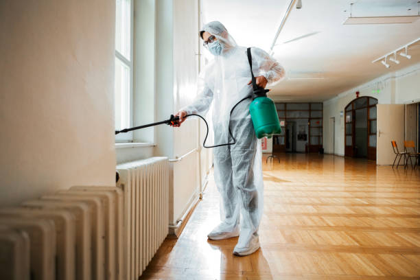 Real Estate Pest Inspections